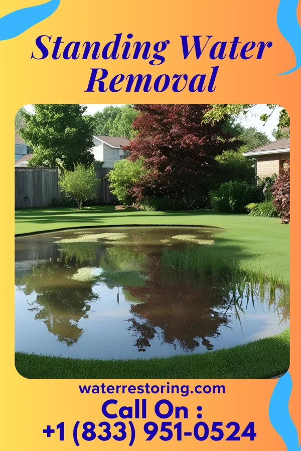 Standing Water Removal in Westbrook, ME